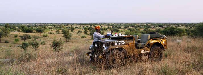 1864/Alsisar Mahal - Alsisar 14.jpg